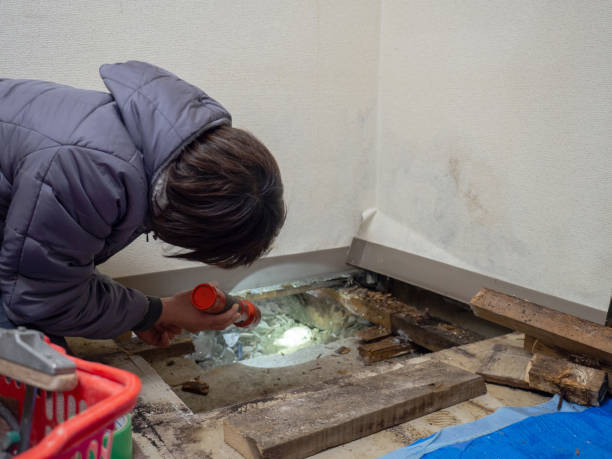 Mold Remediation for Rental Properties in Perry, OH