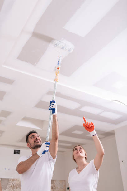 Best Water Damage & Mold Remediation  in Perry, OH