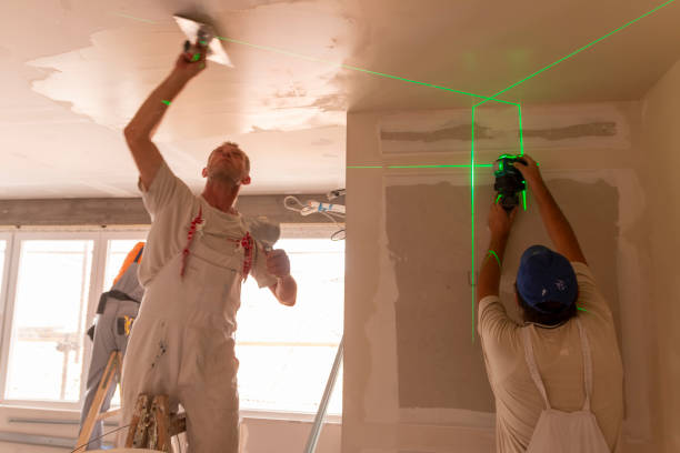 Best Black Mold Removal  in Perry, OH