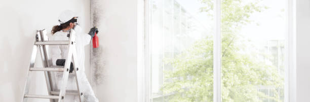 Best Real Estate Mold Inspection  in Perry, OH